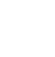 Redflags Logo